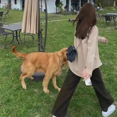 爱情的尽头